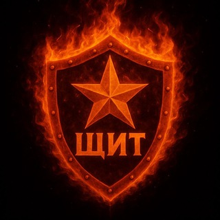 Аватар Telegram-канала Бердянский страйкбольный клуб «ЩИТ»