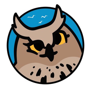 Аватар Ушами филина. Птицы и природа СПб и ЛО