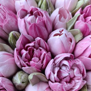 Аватар ЗЕФИРНЫЕ цветы