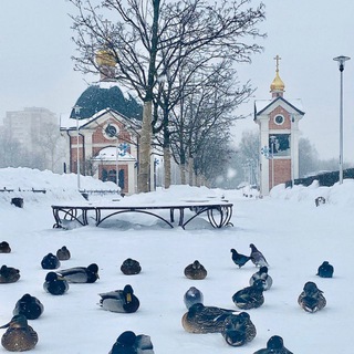 Аватар Серафимовский храм в Щёлково
