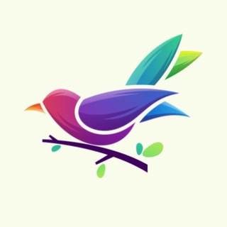 Аватар Telegram-канала Coomeet — лучший видеочат с девушками
