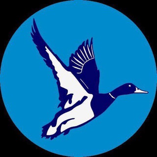 Аватар Telegram-канала АФИША ЧЕБОКСАРЫ