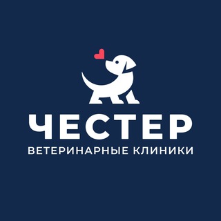 Аватар Telegram-канала ЧЕСТЕР ветеринарные клиники СПб, Приморский р-н 24/7