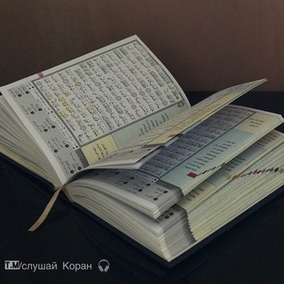 Аватар Telegram-канала Слушай КОРАН🎧