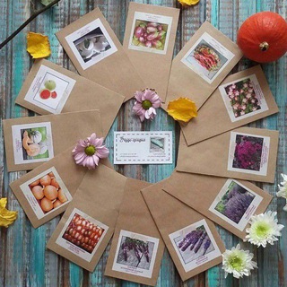 Аватар чудогрядка.рф | сад. огород. цветы