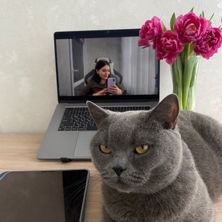 Аватар Telegram-канала Математика с комфортом 🫶🏻