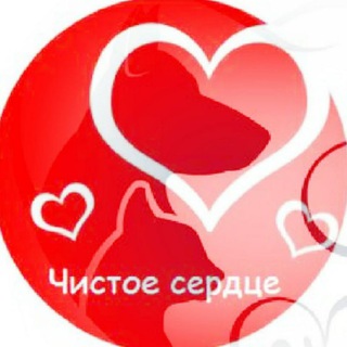 Аватар Мини-приют для кошек «Чистое сердце» (г.Полевской)