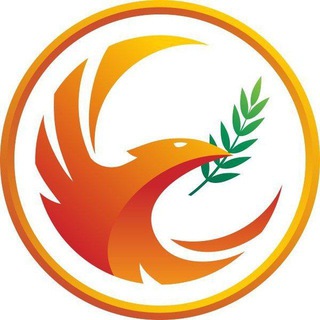 Аватар Telegram-канала Реабилитация и спортивная медицина