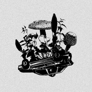 Аватар Telegram-канала Кооператив КОМПОСТ