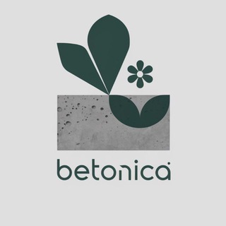 Аватар Telegram-канала Кашпо из бетона 🪴