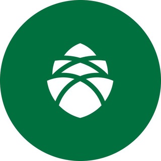 Аватар Telegram-канала Conomica | Деньги для бизнеса