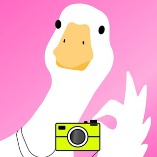 Аватар Telegram-канала Content Place | Съемки для бизнеса и маркетплейсов Екатеринбург content_placeekb