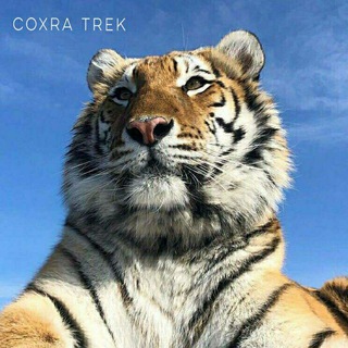 Аватар Telegram-канала COXRA TREK 🇺🇸 (сохры музыка)