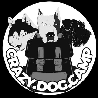 Аватар Telegram-канала ПЕШИЕ ПОХОДЫ •ТУРИЗМ•ДОГ-ТРЕКИНГ