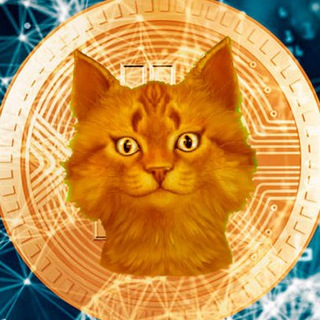Аватар Telegram-канала 😸 КриптоКот — CryptoCot 🎁💸 Раздачи и Скидки на криптобиржах Кот 😸