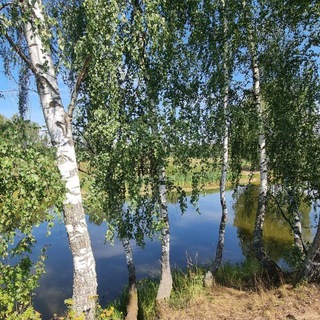 Аватар Telegram-канала Дачи Москворечья🐟