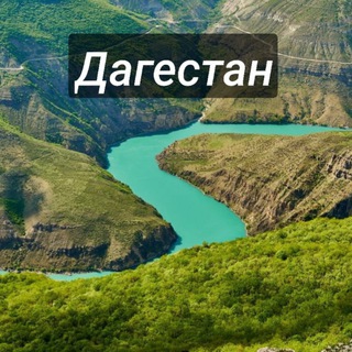 Аватар Telegram-канала Дагестанские Москвичи