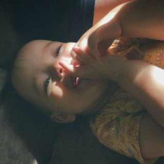 Аватар Telegram-канала плюшевые шутки