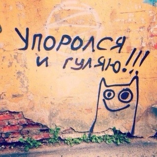 Аватар Telegram-канала кабачки оптом