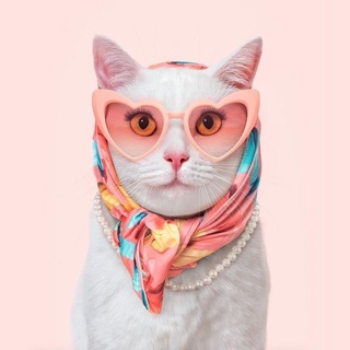 Аватар Telegram-канала Леди в тренде