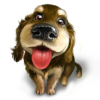 Аватар Telegram-канала НОВЫЙ МИКРОРАЙОН «МИЛОСЕРДИЯ» г.Архангельск (собаки из приюта «Добрый дом»)