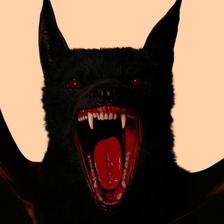 Аватар Тайное литературное общество мистического характера 👻