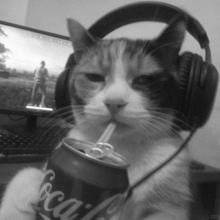 Аватар Telegram-канала мир фальши | песни из тт