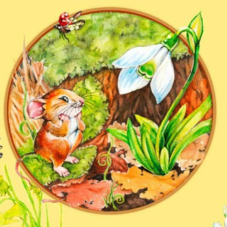 Аватар Telegram-канала ДЕТСКИЙ КАНАЛ| сказки, стихи,игры