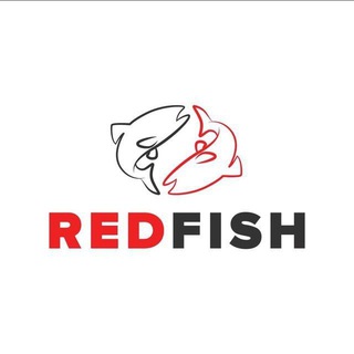 Аватар Telegram-канала RedFish | Новости 📰