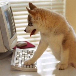 Аватар Telegram-канала Добрые мемы : )