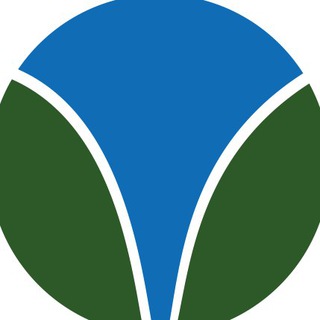 Аватар доктор Марьяна Абрицова проктолог Москва