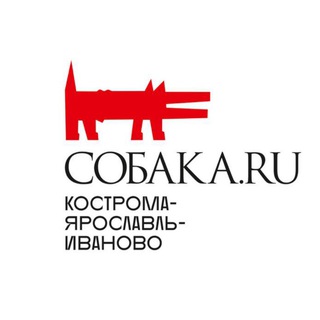 Аватар Telegram-канала «СОБАКА.RU» Кострома | Ярославль | Иваново