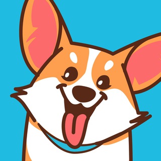 Аватар Telegram-канала Догси — Передержка и выгул собак по всей России!