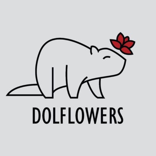 Аватар Dolflowers_ 24 часа цветы Долгопрудный Москва