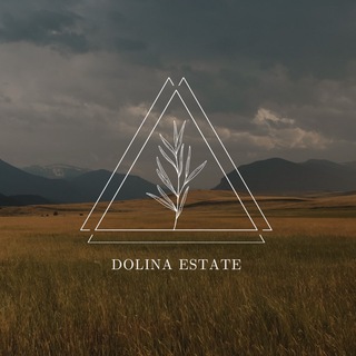 Аватар Telegram-канала DOLINA ESTATE || Проводники в недвижимость