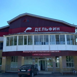 Аватар Telegram-канала Спортивная школа «Дельфин»