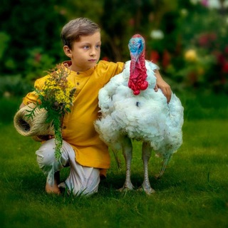 Аватар Telegram-канала САД и ОГОРОД🌱🍒🌶