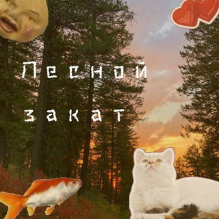 Аватар Telegram-канала Лесной закат |меняльники в Домодедово|