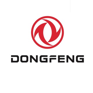 Аватар DONGFENG