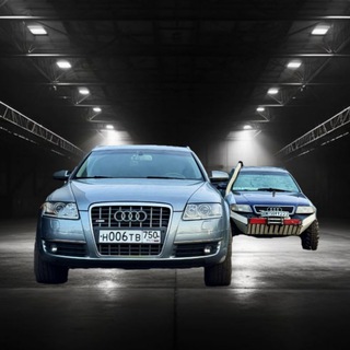 Аватар Telegram-канала Донцовы | Жизнь со Старыми Ауди