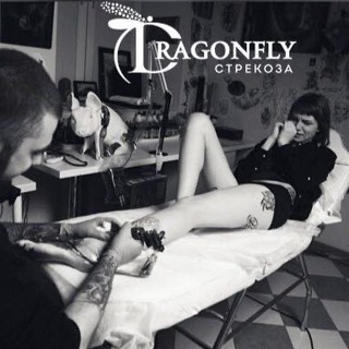 Аватар Dragonfly Studio Тату / Перманентный макияж Москва / СПБ