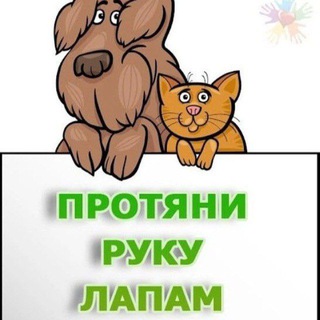 Аватар Telegram-канала Дружок. Помощь бездомным животным Сузун