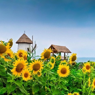 Аватар Telegram-канала ☀️ Детский сад 219 ☀️