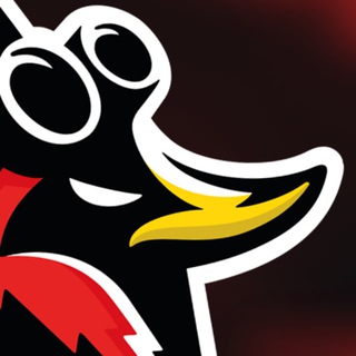 Аватар Telegram-канала Duck Fly — Скейтборд школа