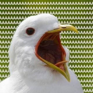 Аватар Telegram-канала шутки до эКоликов в животе