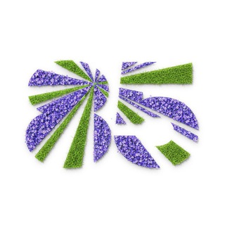 Аватар Экономический факультет МГУ им. М. В. Ломоносова