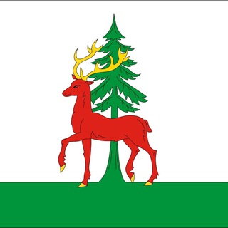 Аватар Telegram-канала Новости Ельца