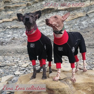 Аватар Telegram-канала Erna_Loos одежда для собак и их хозяев