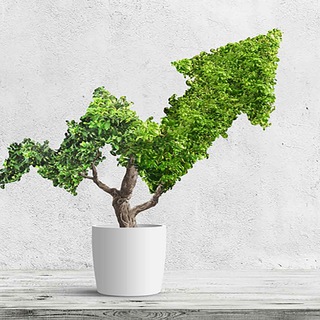 Аватар «Финансы устойчивого развития «ESG — финансы»