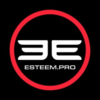Аватар Telegram-канала Аксессуары ручной работы Esteem.Pro
